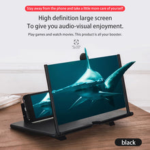 Load image into Gallery viewer, Amplifier Screen 12inch
